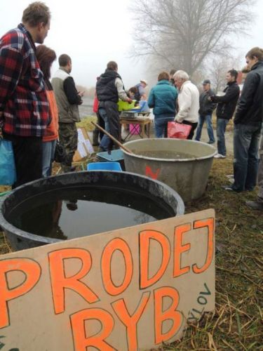 Klikněte pro zobrazení původního obrázku