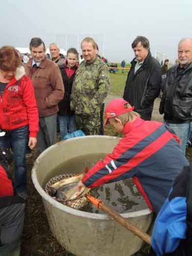 Klikněte pro zobrazení původního obrázku